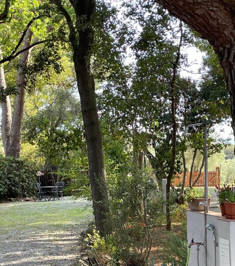 Agriturismo Podere Campalto Campiglia Marittima Exteriér fotografie
