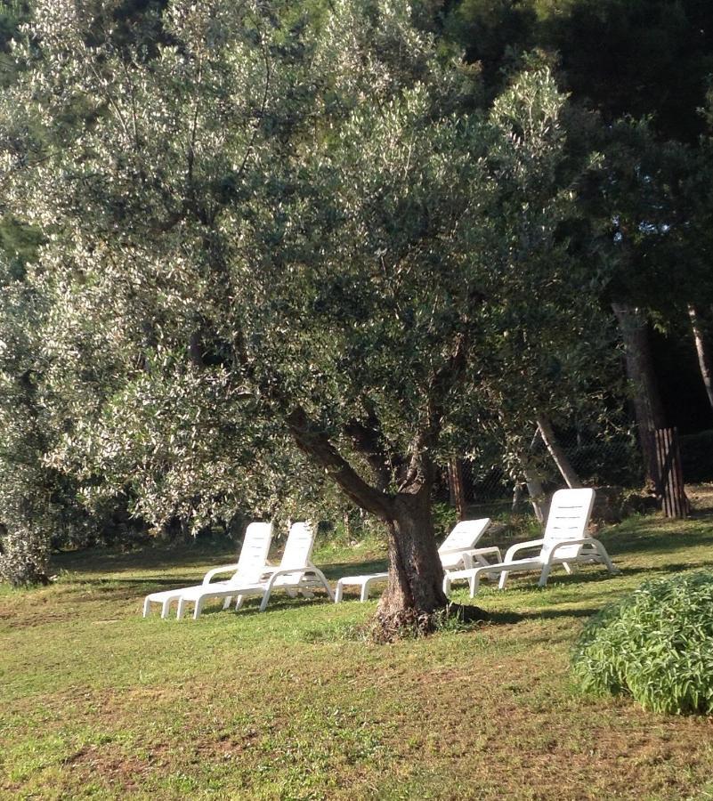 Agriturismo Podere Campalto Campiglia Marittima Exteriér fotografie