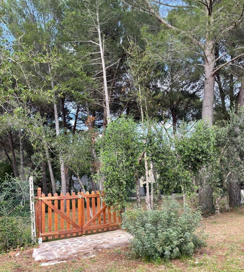 Agriturismo Podere Campalto Campiglia Marittima Exteriér fotografie