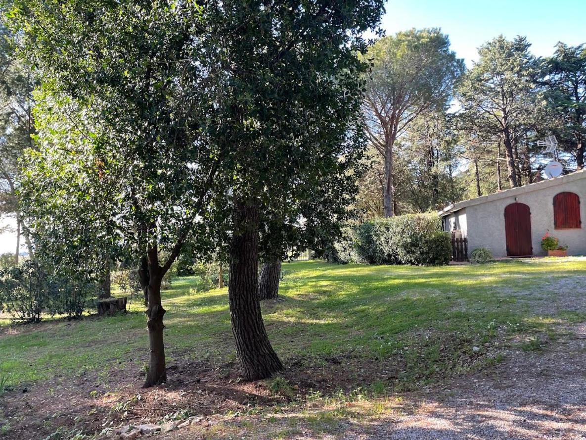Agriturismo Podere Campalto Campiglia Marittima Exteriér fotografie