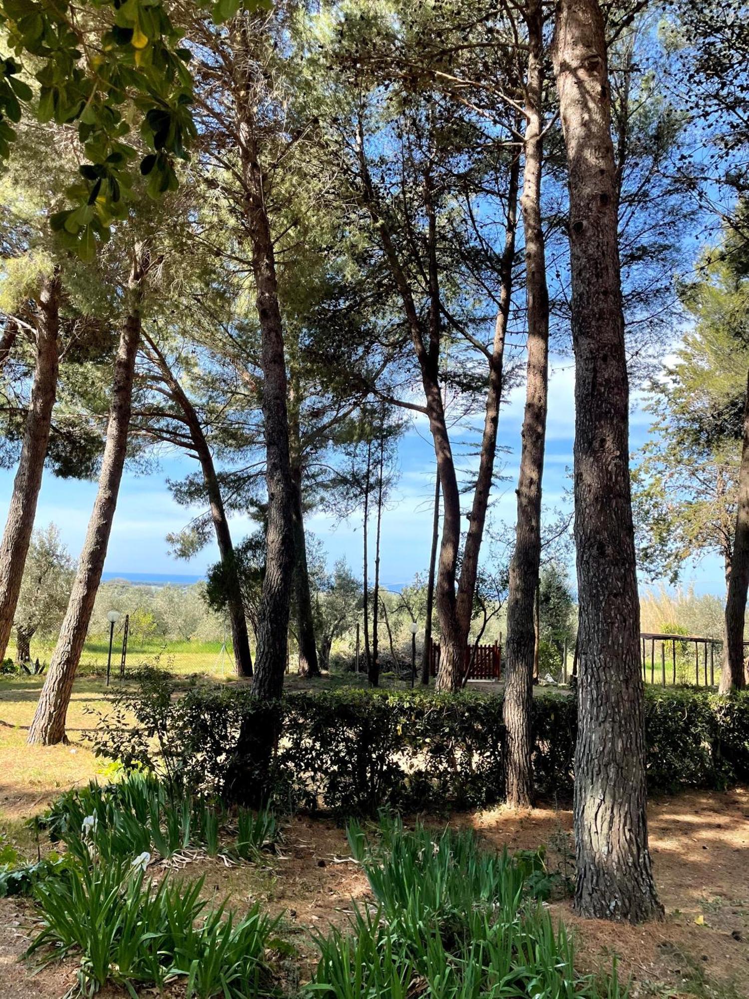 Agriturismo Podere Campalto Campiglia Marittima Exteriér fotografie