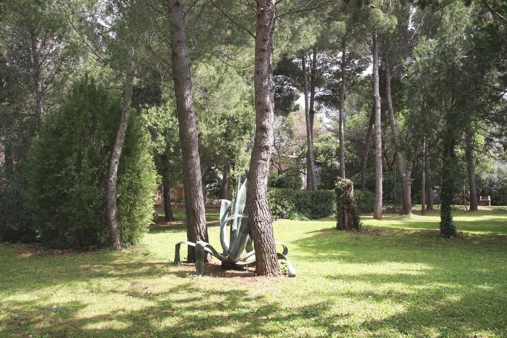 Agriturismo Podere Campalto Campiglia Marittima Exteriér fotografie