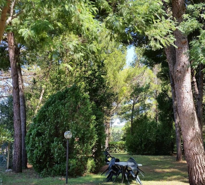 Agriturismo Podere Campalto Campiglia Marittima Exteriér fotografie