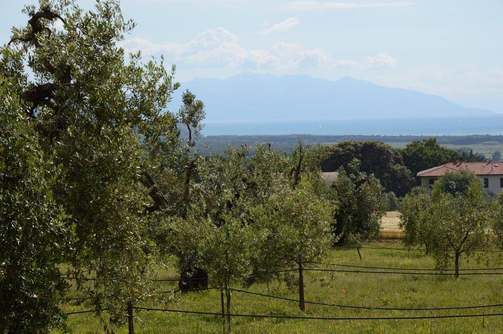 Agriturismo Podere Campalto Campiglia Marittima Exteriér fotografie