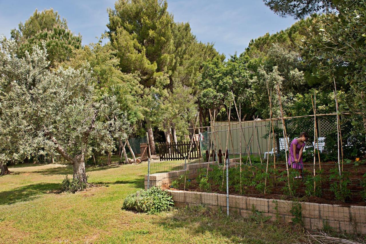 Agriturismo Podere Campalto Campiglia Marittima Exteriér fotografie