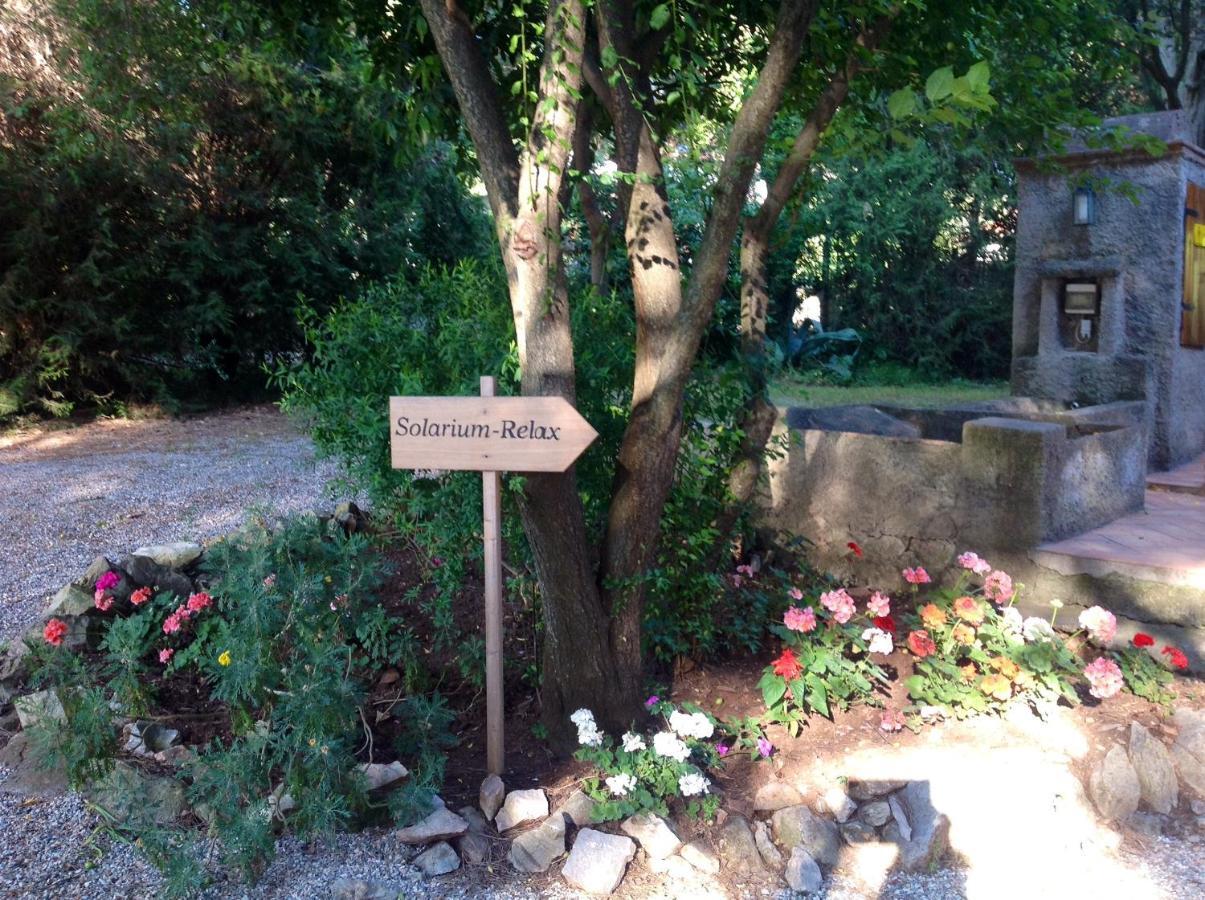 Agriturismo Podere Campalto Campiglia Marittima Exteriér fotografie