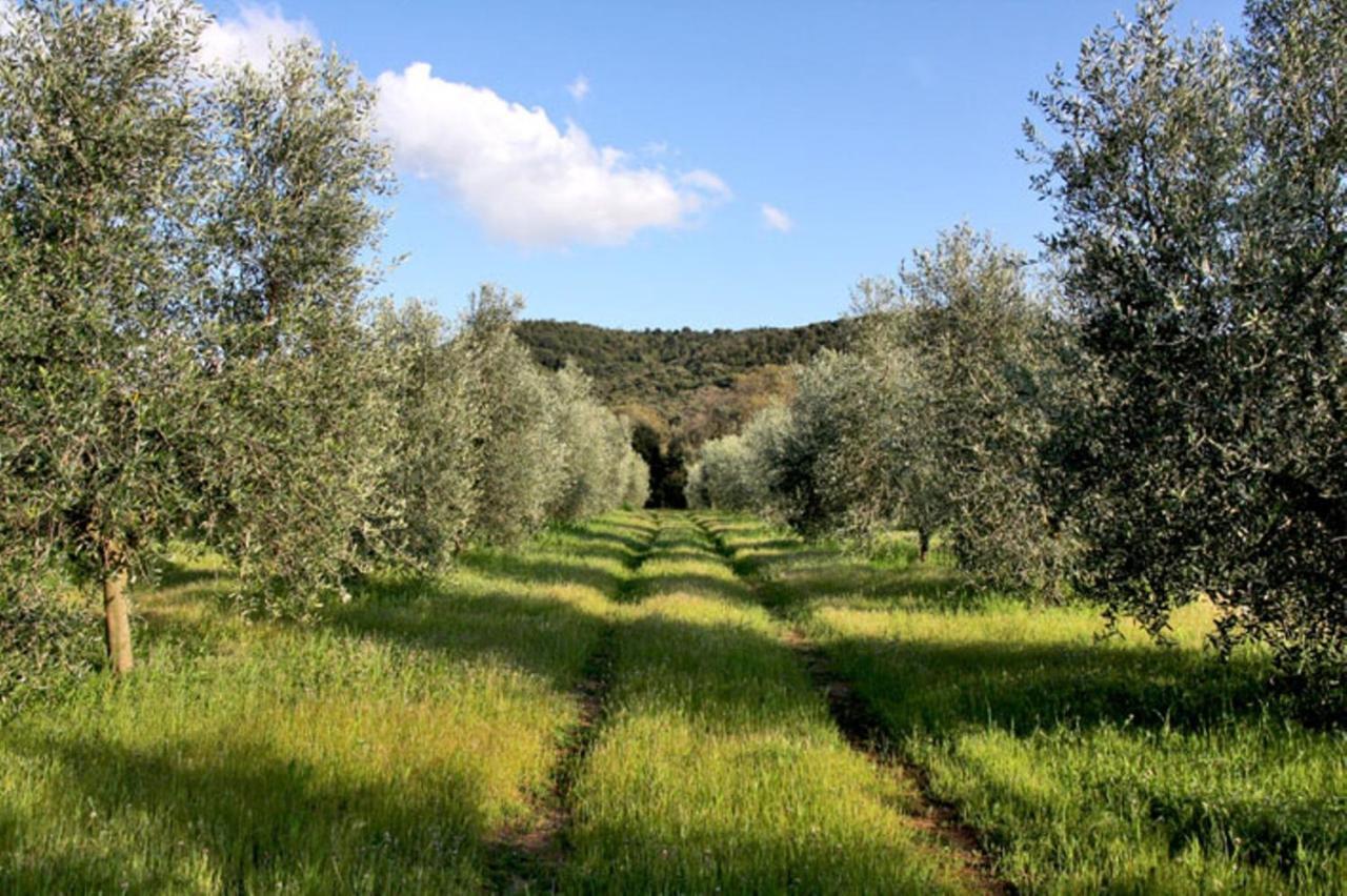 Agriturismo Podere Campalto Campiglia Marittima Pokoj fotografie