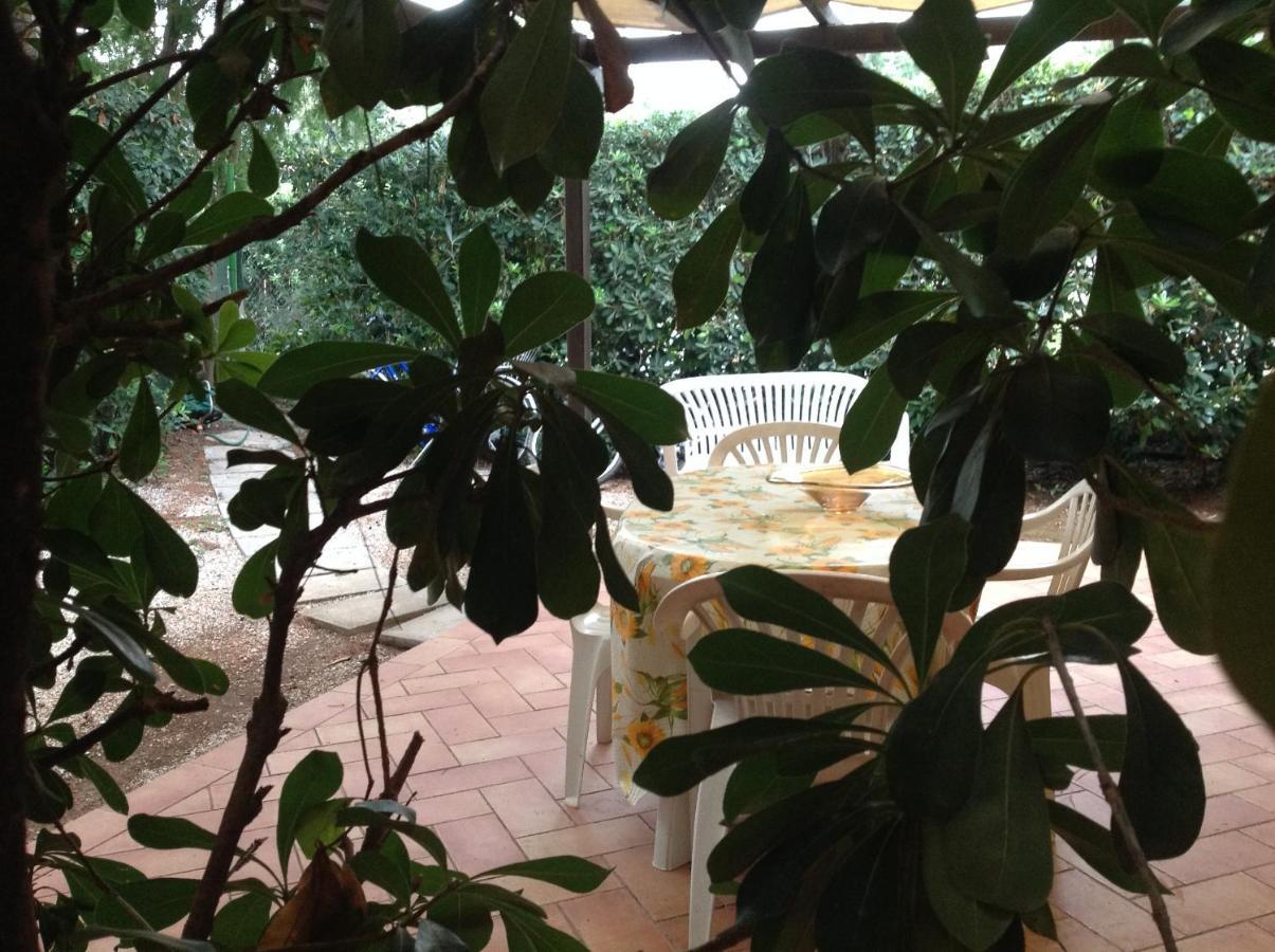 Agriturismo Podere Campalto Campiglia Marittima Exteriér fotografie